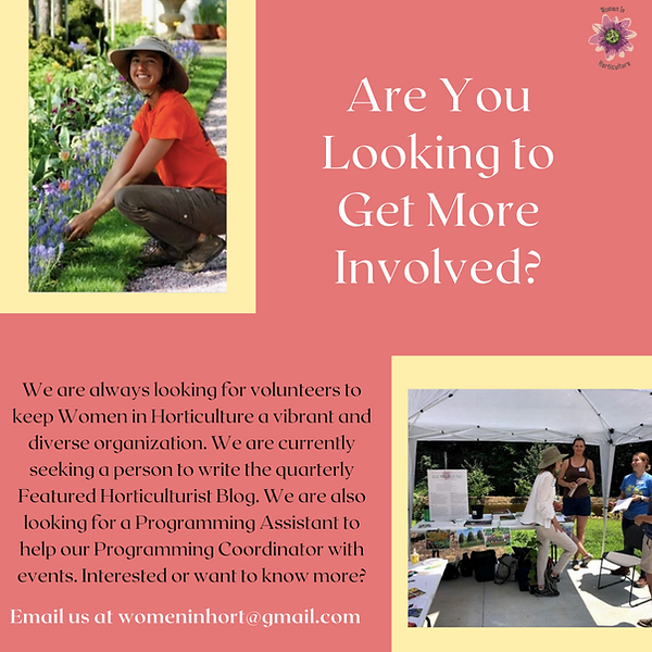 Are You Looking to Get More Involved_ copy 2.png